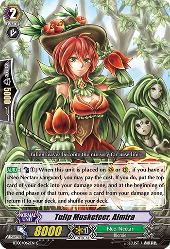 Tulip Musketeer, Almira