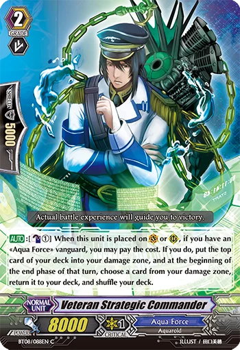 Veteran Strategic Commander