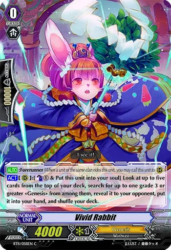 Vivid Rabbit