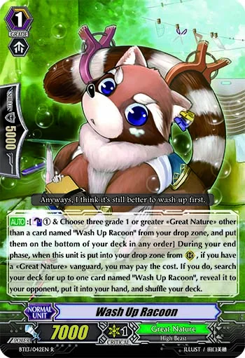 Wash Up Racoon
