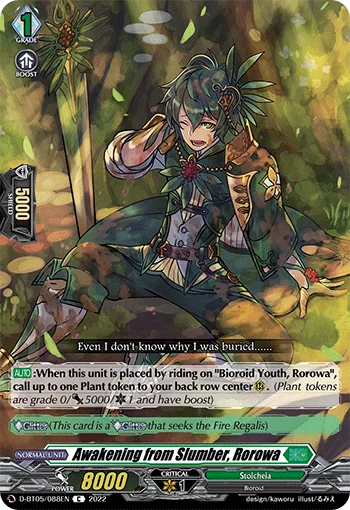 Awakening from Slumber, Rorowa