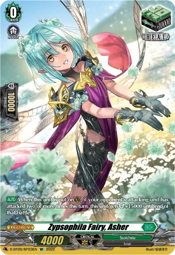 Zypsophila Fairy, Asher