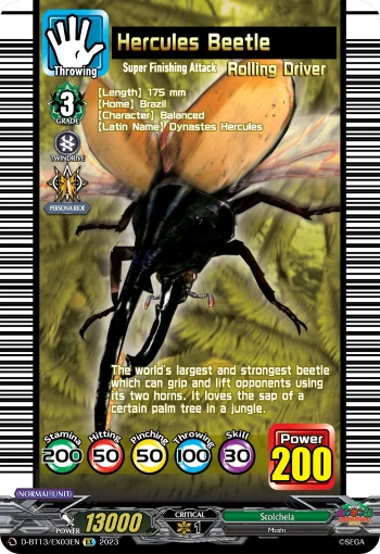 Hercules Beetle