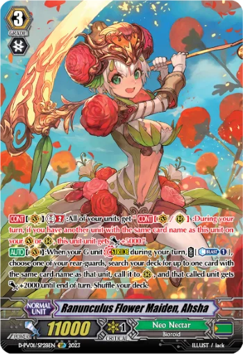 Ranunculus Flower Maiden, Ahsha