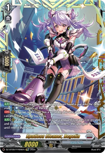 Spatless Cleaner, Regelia