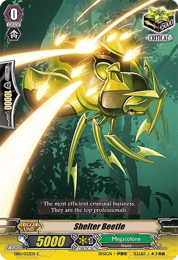 Shelter Beetle