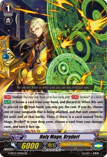 Holy Mage, Bryderi