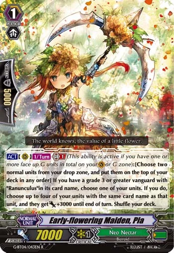 Early-flowering Maiden, Pia