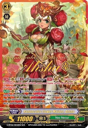Ranunculus Flower Maiden, Ahsha