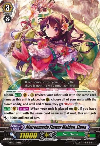 Alstroemeria Flower Maiden, Elana