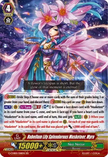 Rubellum Lily Splendorous Musketeer, Myra