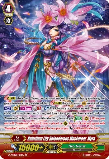 Rubellum Lily Splendorous Musketeer, Myra