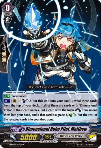 Dimensional Robo Pilot, Matthew