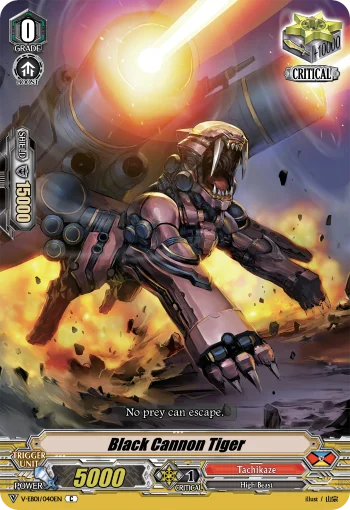 Black Cannon Tiger