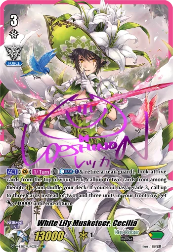 White Lily Musketeer, Cecilia