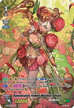Ranunculus Flower Maiden, Ahsha