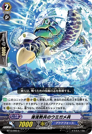 Tidal Rescue Sea Turtle Soldier