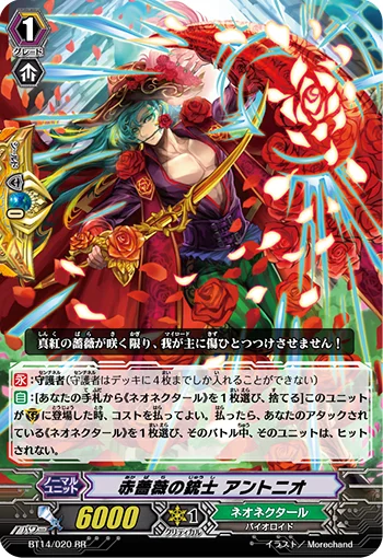 Red Rose Musketeer, Antonio