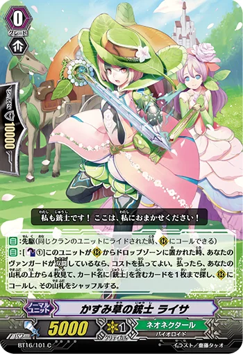 Gypsophila Musketeer, Raisa