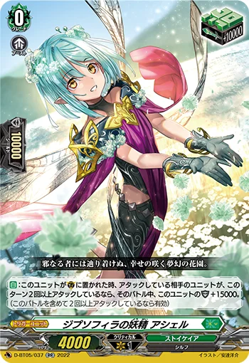 Zypsophila Fairy, Asher