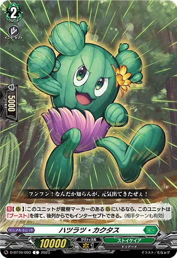 Spry Cactus