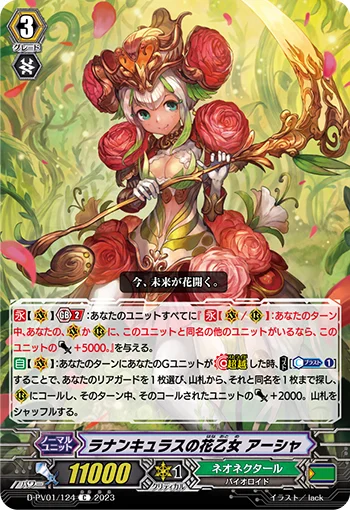 Ranunculus Flower Maiden, Ahsha