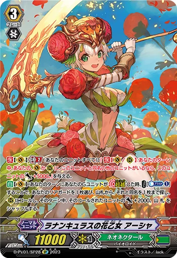 Ranunculus Flower Maiden, Ahsha