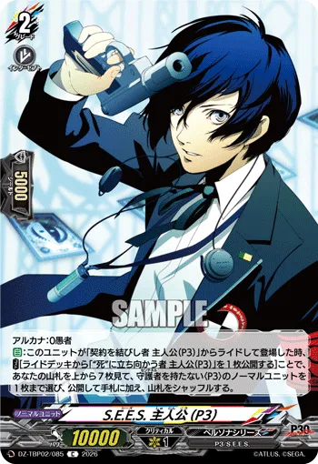 S.E.E.S. 主人公(P3)