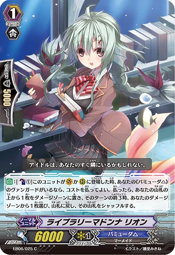 Library Madonna, Rion
