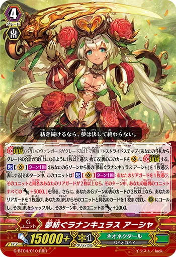 Dream-spinning Ranunculus, Ahsha