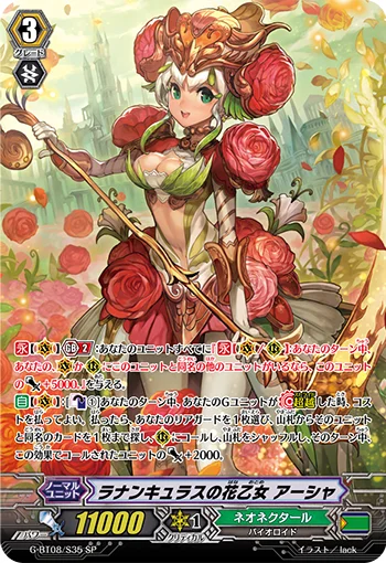 Ranunculus Flower Maiden, Ahsha