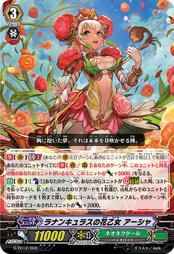 Ranunculus Flower Maiden, Ahsha