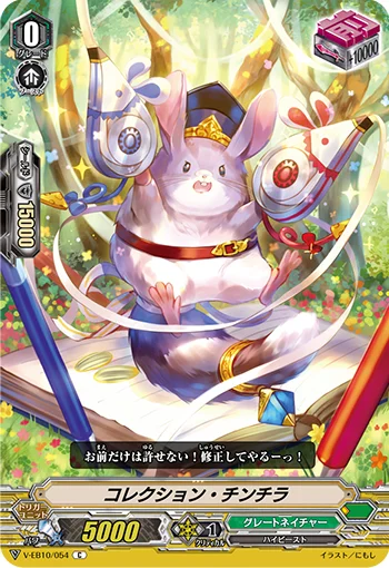Correction Chinchilla