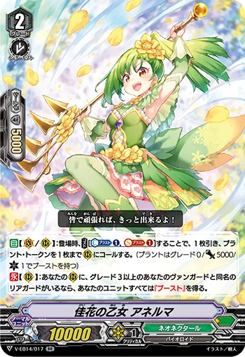 Osmanthus Maiden, Anelma
