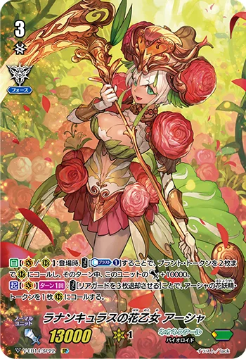 Ranunculus Flower Maiden, Ahsha