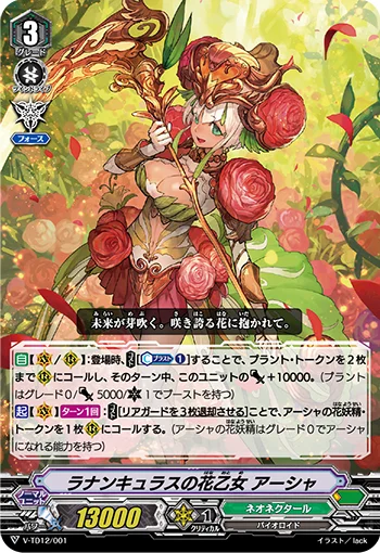 Ranunculus Flower Maiden, Ahsha