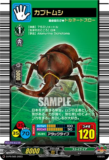 Japanese Beetle
