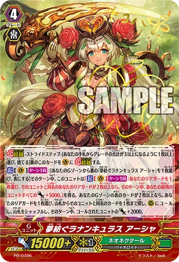 Dream-spinning Ranunculus, Ahsha