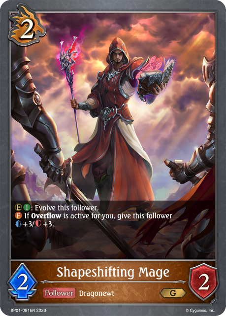 Shapeshifting Mage