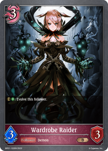 Wardrobe Raider