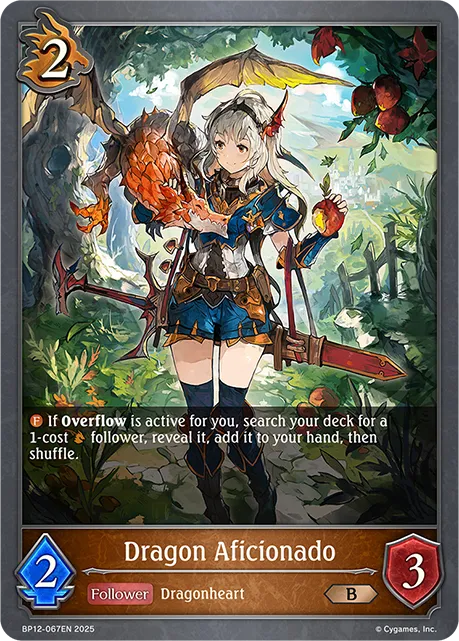 Dragon Aficionado