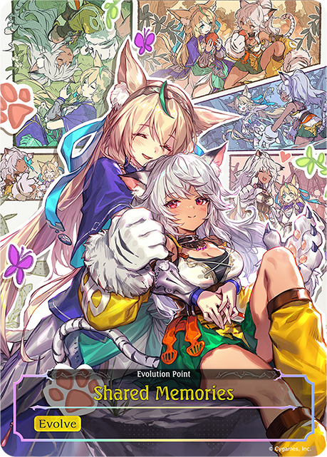 Shared Memories