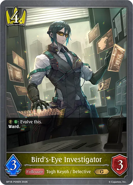 Bird's-Eye Investigator