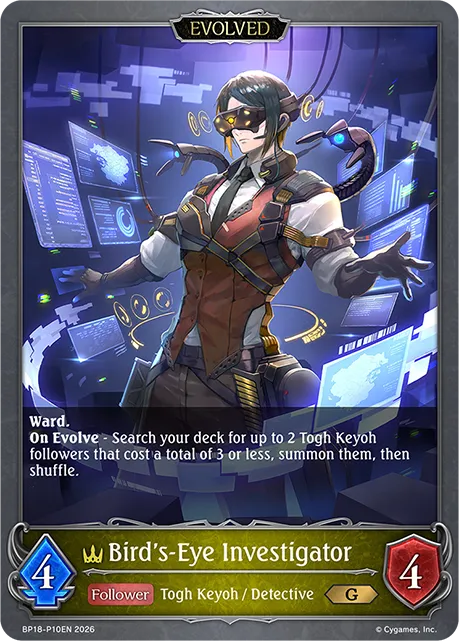 Bird's-Eye Investigator (Evolved)