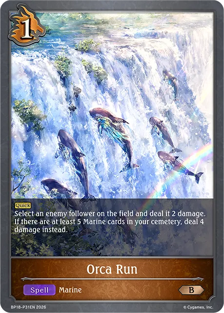 Orca Run