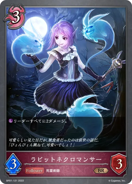 Rabbit Necromancer