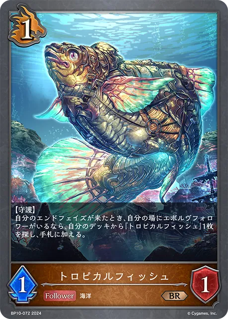 Tropical Grouper