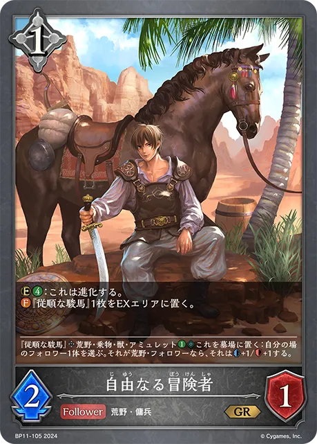 Quixotic Adventurer