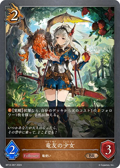 Dragon Aficionado