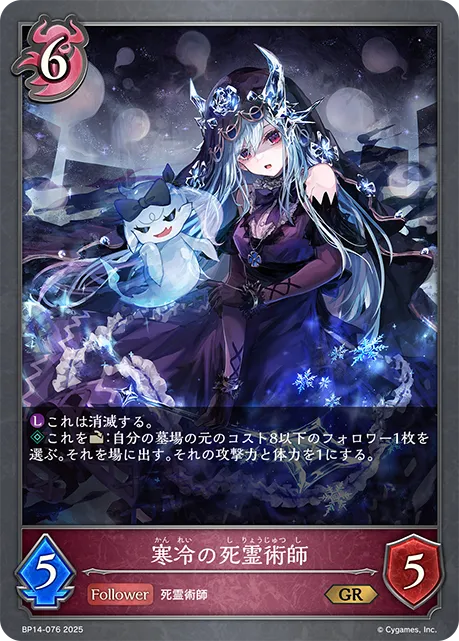 Frigid Necromancer